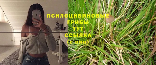 бошки Ладушкин