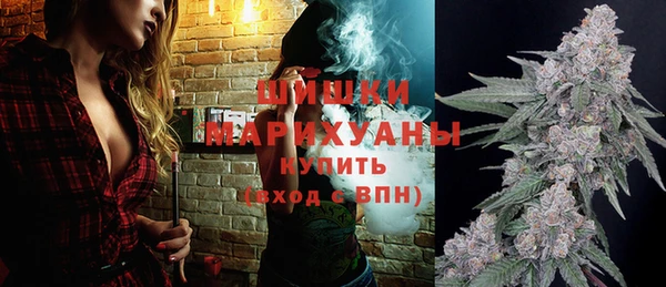 PSILOCYBIN Лагань