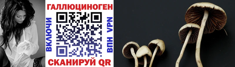 где купить наркотик  мориарти состав  Псилоцибиновые грибы мицелий  Тбилисская  МЕГА как войти 