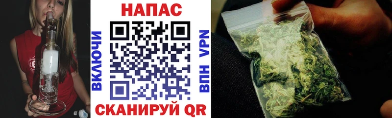 Каннабис MAZAR Тбилисская